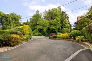 Front Drive- click for photo gallery